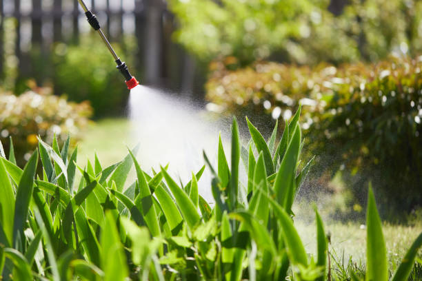 Tamper-Resistant Bait Stations for Rodents in Tehachapi